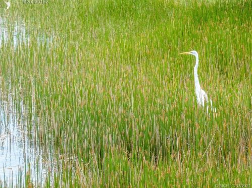 9780 Lindale Trace Blvd, Fort Pierce FL  34987-2411 exterior