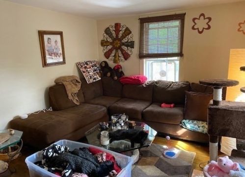 97 Mason St, Salem MA 01970-2257 exterior