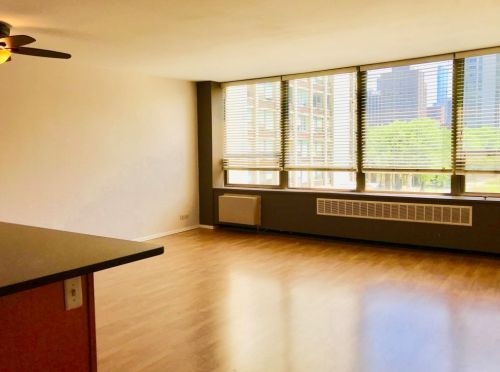 1360 Sandburg Ter, Chicago IL  60610-5676 exterior