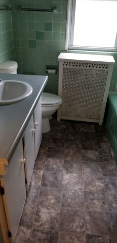 8039 Elizabeth St, Chicago IL  60620-3827 exterior