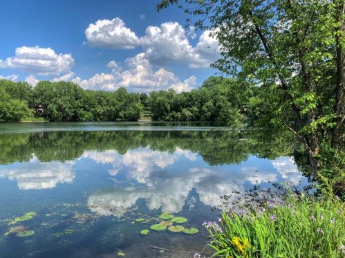 1292 Balsam Trl, Saint Paul MN 55123-1707 exterior