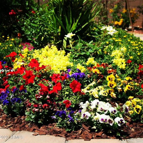 4102 Scorpio Pl, Chandler AZ 85249-5845 exterior