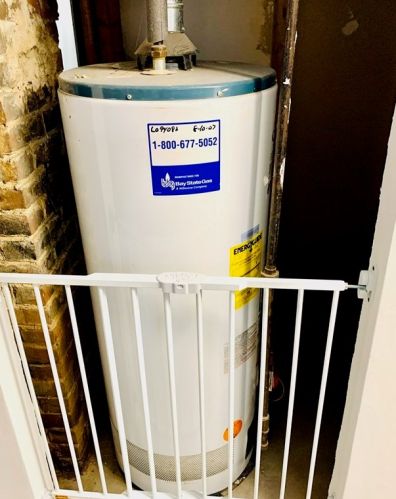 43 Montmorenci St, Springfield MA  01107-1727 exterior