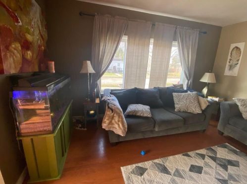 225 Jefferson St, Lowell MI 49331-1120 exterior