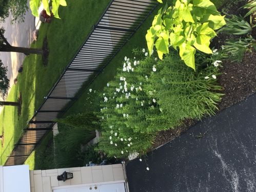 4662 Lamon Ave, Chicago IL 45740-2033 exterior