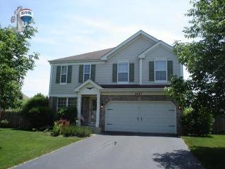 2603 Summerhill Ct, Aurora, IL 60506-8862