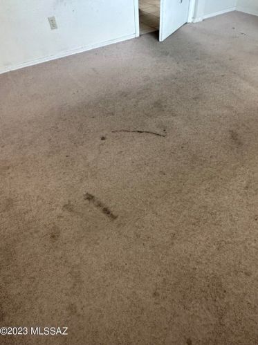 1765 Ransom Oaks Dr, Tucson AZ 85746-3173 exterior