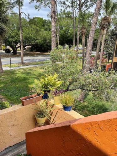 5830 Windhover Dr, Orlando FL  32819-7538 exterior