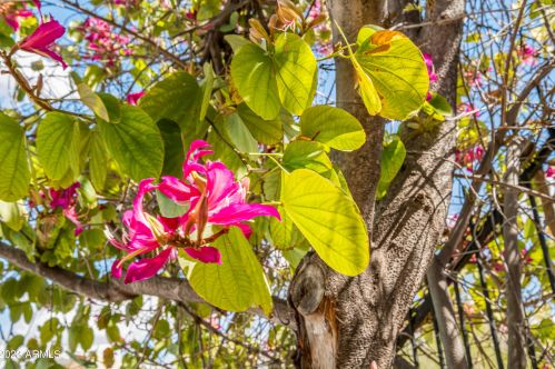 10406 22 St, Phoenix AZ 85006-2017 exterior