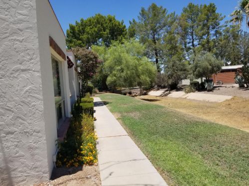 965 Camino Las Solanas, Tucson AZ  85710-8828 exterior