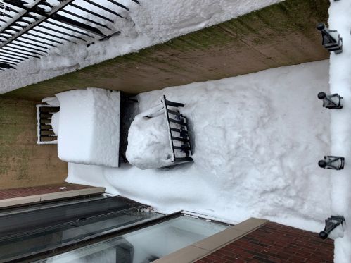 1533 Cleveland Ave, Chicago IL  60610-1184 exterior