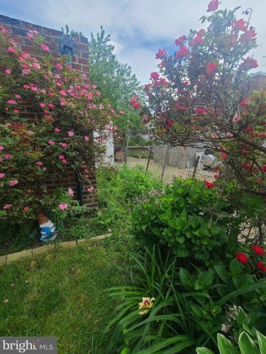 1222 Englewood St, Philadelphia PA 19149-1613 exterior