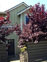 10713 Greenwood Ave, Seattle, WA 98133-7749