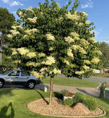 7685 Bowman Ct, South Saint Paul MN exterior