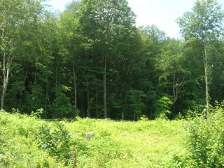 5 Azalea Ln, Ellington, CT 06029-3062