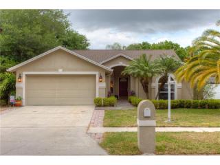 5805 Bitter Orange Ave, Tampa FL  33625-1947 exterior