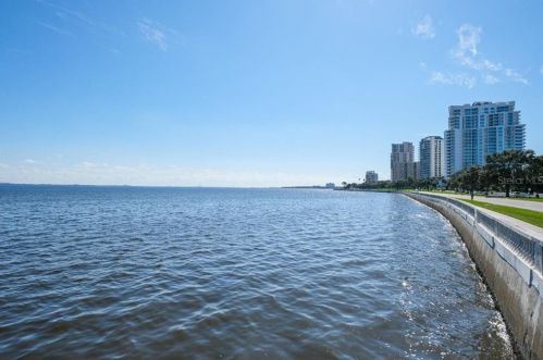 3301 Bayshore Blvd, Tampa FL  33629-8875 exterior