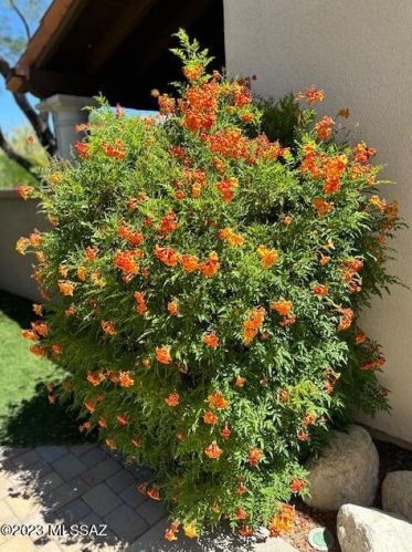 4061 Quiet Moon Dr, Tucson AZ  85718-3427 exterior