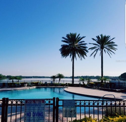 13757 Orange Sunset Dr, Tampa FL  33618-3335 exterior