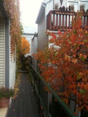 1511 Paulina St, Chicago IL  60608-1969 exterior