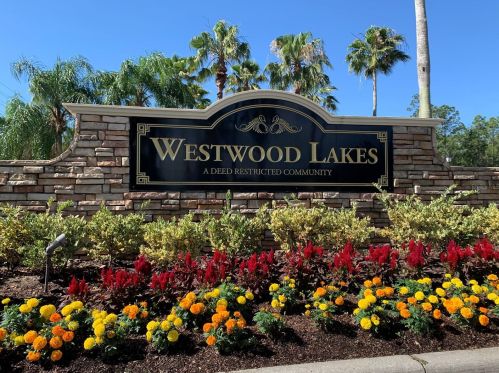 14330 Moon Flower Dr, Tampa FL  33626-2346 exterior