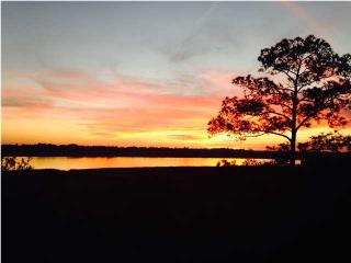 4254 Faber Place Dr, Charleston SC  29405-8518 exterior