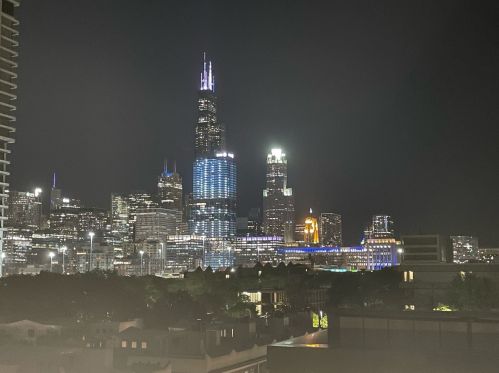 1040 Polk St, Chicago IL  60607 exterior