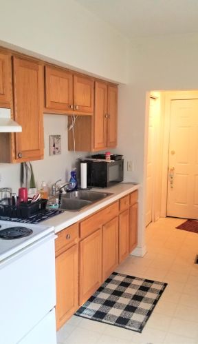 934 Juno Ave, Saint Paul MN 55102-3713 exterior