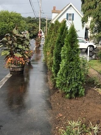 53 Butler St, Salem MA 01970-1364 exterior