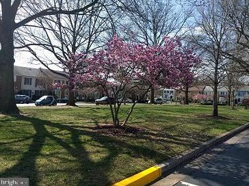 7404 Eldorado St, Mc Lean VA  22102-2906 exterior