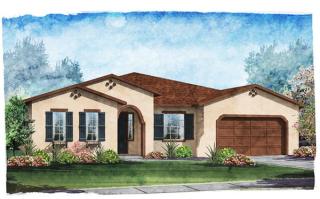 2217 Gwynhurst Blvd, Zephyrhills, FL 33543-8102