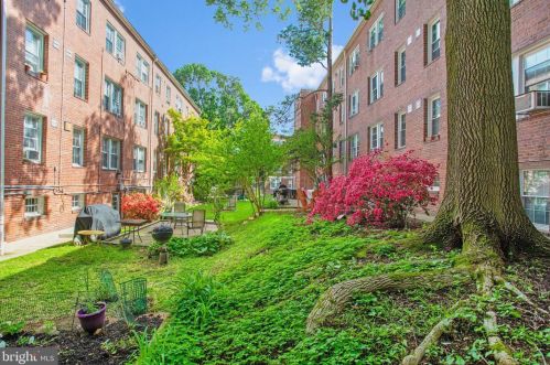 2803 Cortland Pl, Washington DC  20008-3428 exterior