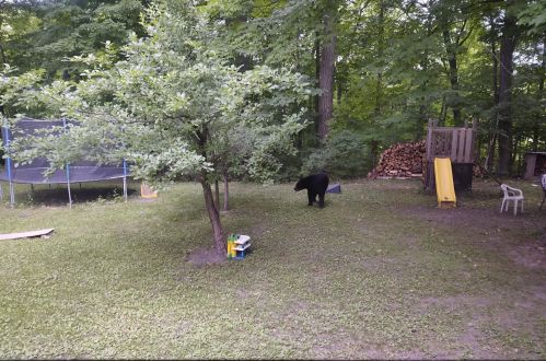 754 County Road 6, Stanford MN 55080-8018 exterior