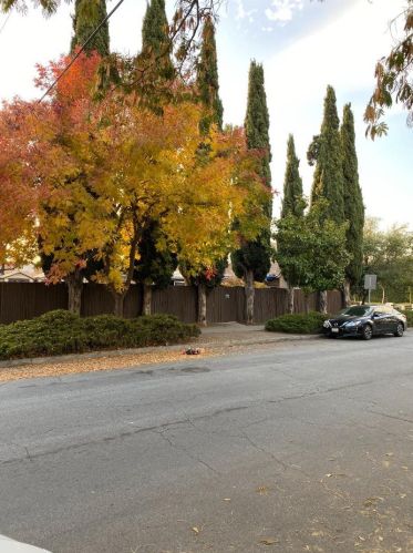 3302 Landess Ave, San Jose CA 95132-1399 exterior