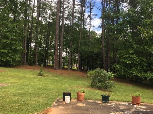 2921 Cherry Blossom Ln, Atlanta GA 30344-3919 exterior