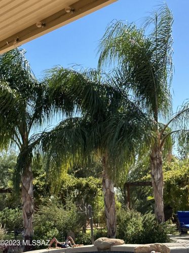 11160 Camino De La Tierra, Tucson AZ  85742-9722 exterior