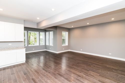 1321 Millard Ave, Chicago IL  60623-1552 exterior