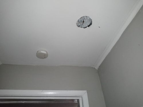 1292 Purcell Ave, Saint Louis MO 63130-2505 exterior