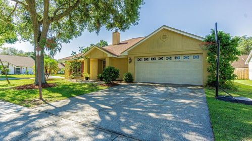 15122 Nighthawk Dr, Tampa, FL 33625-1520