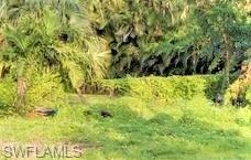 4215 Lorraine Ave, Naples FL 34104-4772 exterior