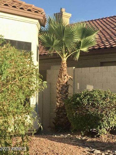 14021 29 St, Phoenix AZ 85032-3726 exterior