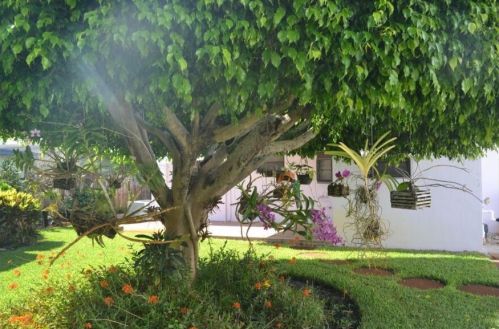 309 3 St, Boca Raton FL 33486-4553 exterior