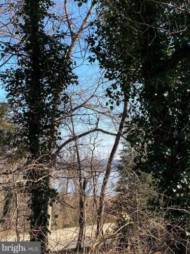 1101 Morningside Ln, Alexandria VA 22308-1042 exterior