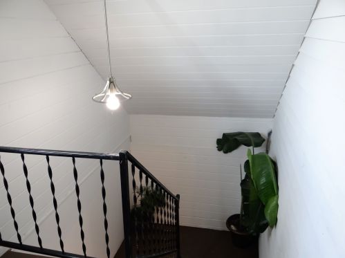 1636 59 Ct, Chicago IL 60804-1056 exterior