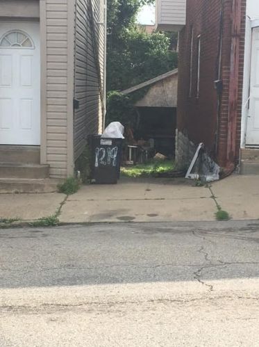 1221 Brownsville Rd, Pittsburgh, PA 15210-3650