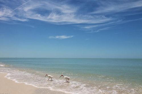 4681 16 Ave, Naples FL 34117-9190 exterior