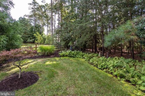 31792 Marsh Is Ave, Lewes DE 19958-3350 exterior