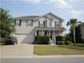 1041 Clearspring Dr, Charleston SC  29412-9644 exterior
