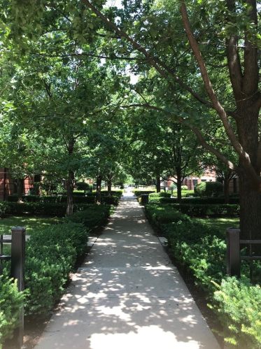 1421 Halsted St, Chicago IL  60642-5153 exterior