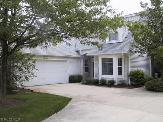 29333 Buckthorn Pl, Cleveland, OH 44145-2971